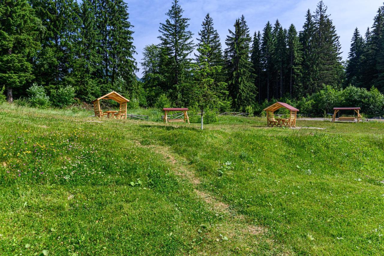 Fabulous Panorama Silver Mountain Poiana Brasov