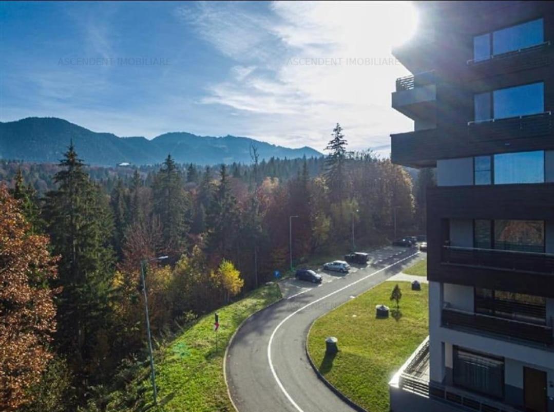 Fabulous Panorama Silver Mountain Apartment Poiana Brasov