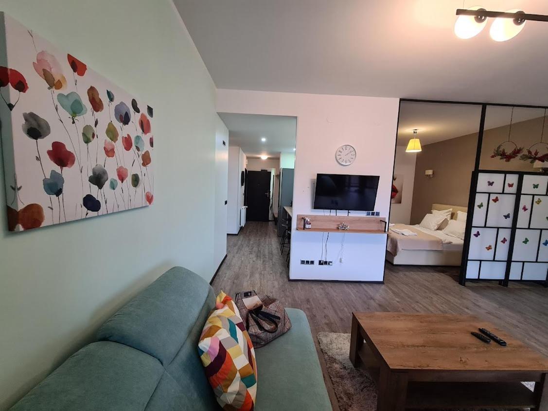 Fabulous Panorama Silver Mountain Apartment Poiana Brasov