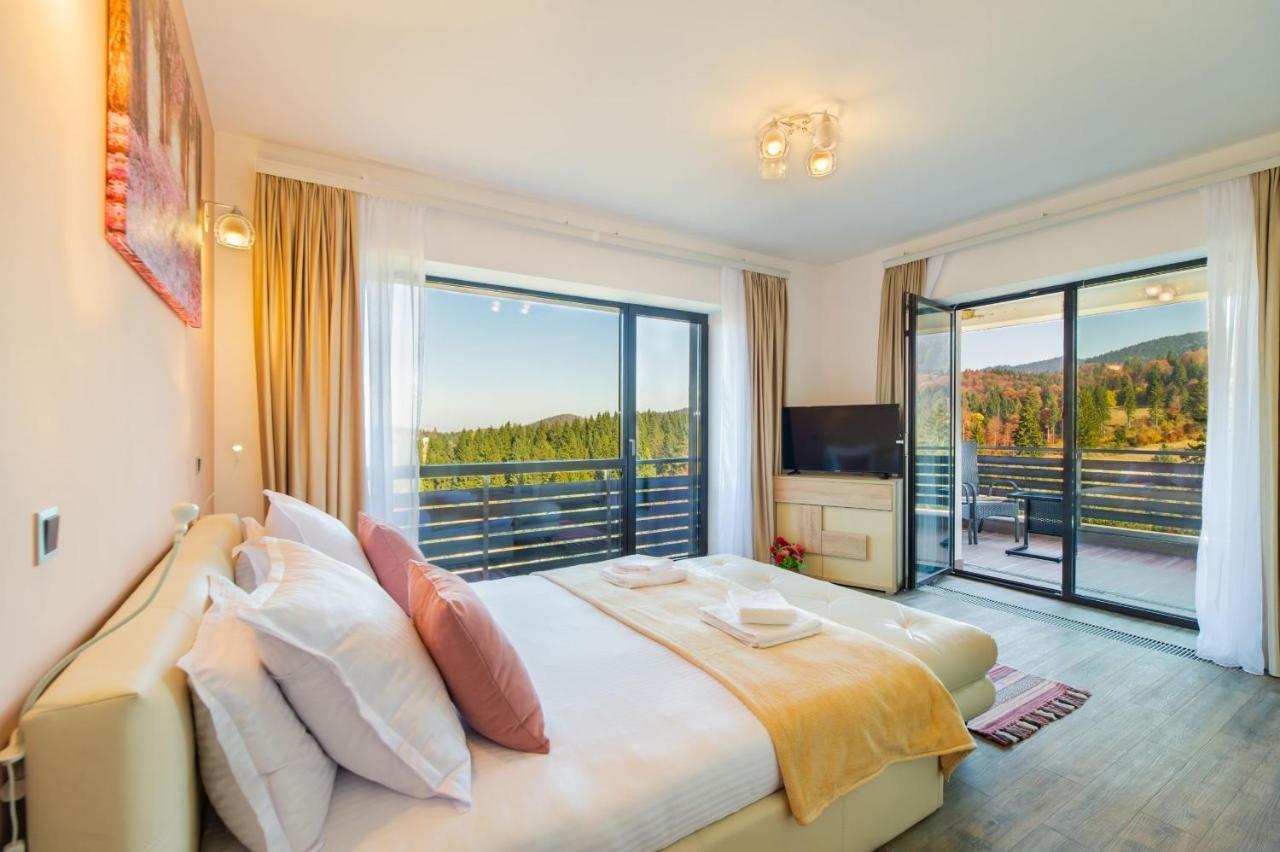 Fabulous Panorama Silver Mountain Poiana Brasov
