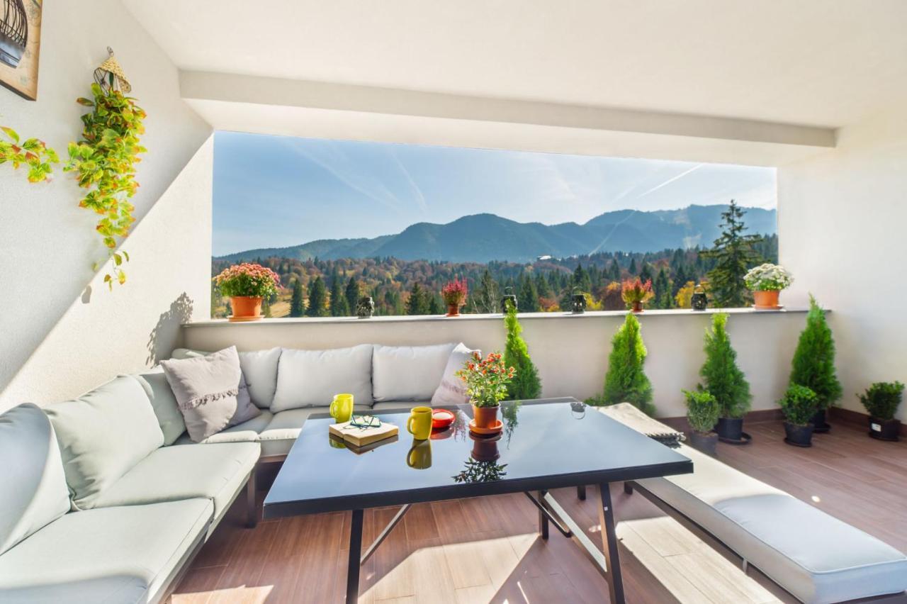 Fabulous Panorama Silver Mountain *