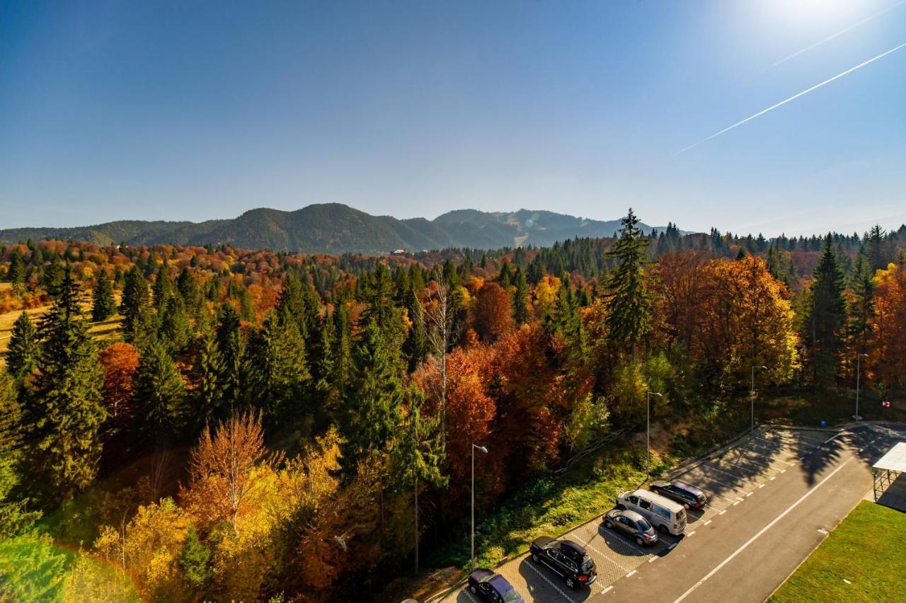 Fabulous Panorama Silver Mountain Apartment Poiana Brasov